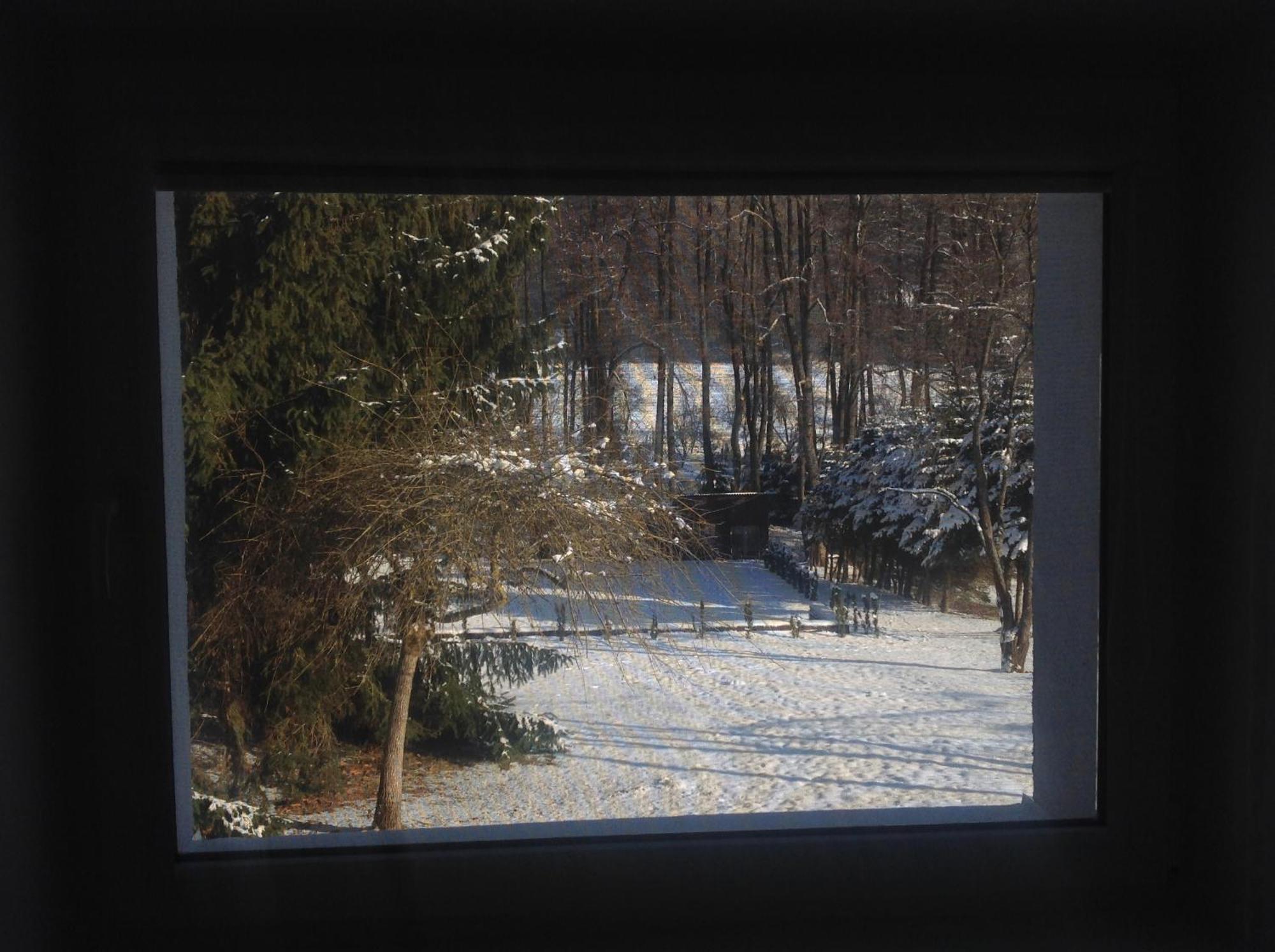 Penzion Zelená zahrada Kladenske Rovne Exteriér fotografie